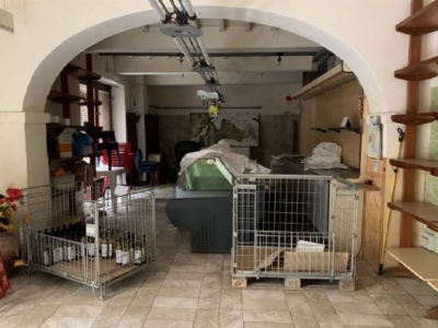 immagine annuncio 4 di 8