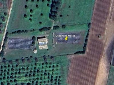 immagine annuncio 2 di 3