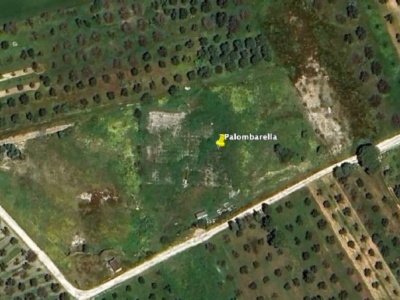 immagine annuncio 2 di 3