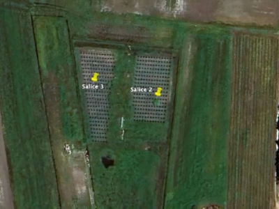 immagine annuncio 3 di 4