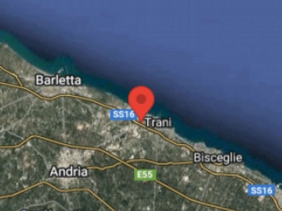 immagine annuncio 1 di 8