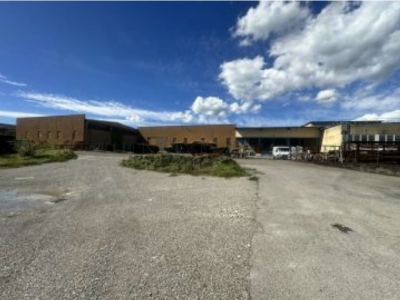 immagine annuncio 8 di 9