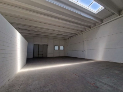 immagine annuncio 6 di 9