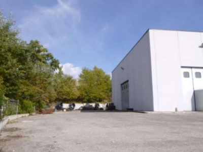 immagine annuncio 4 di 8