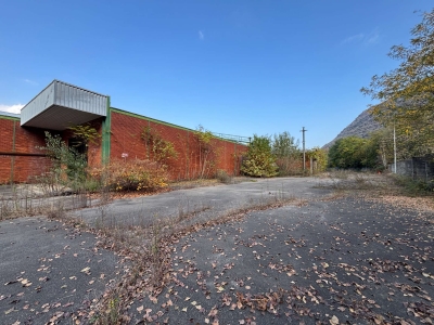 immagine annuncio 2 di 9