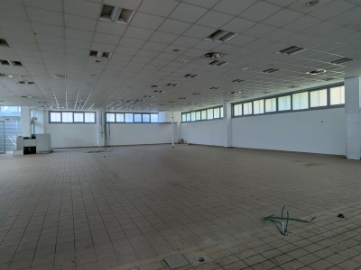 immagine annuncio 7 di 9