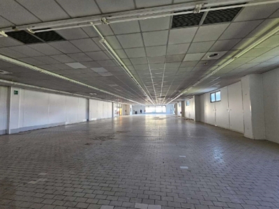 immagine annuncio 6 di 9