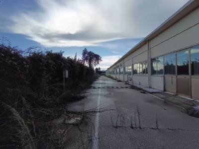 immagine annuncio 6 di 9