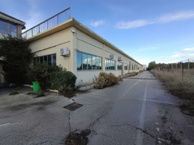 immagine annuncio 7 di 9