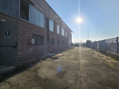 immagine annuncio 2 di 9