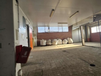 immagine annuncio 5 di 9