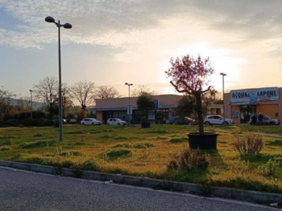 immagine annuncio 5 di 9