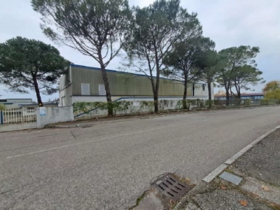 immagine annuncio 2 di 9