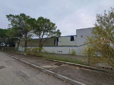 immagine annuncio 3 di 9