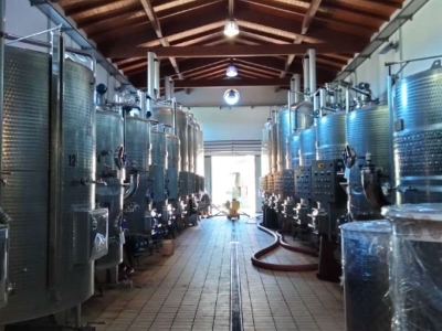 immagine annuncio 7 di 9
