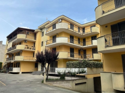 immagine annuncio 2 di 9