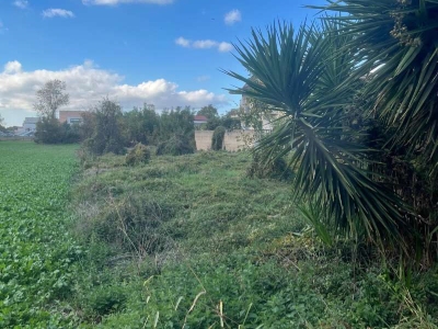 immagine annuncio 2 di 7