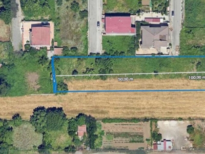 immagine annuncio 4 di 7