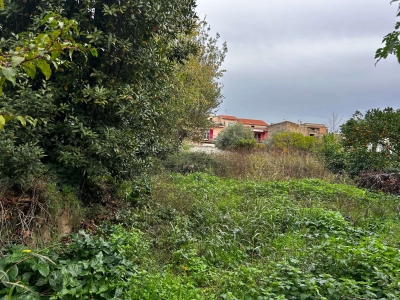 immagine annuncio 5 di 9