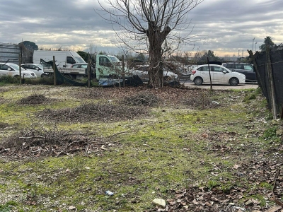 immagine annuncio 5 di 9