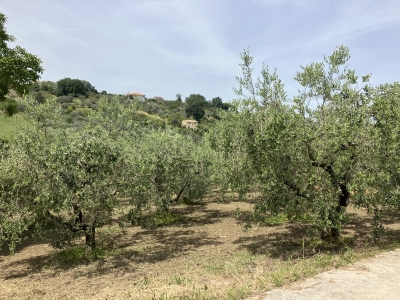 immagine annuncio 3 di 9