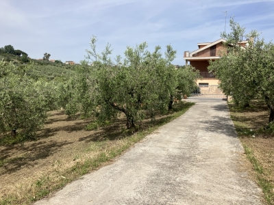 immagine annuncio 6 di 9