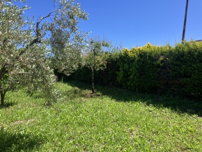 immagine annuncio 8 di 9