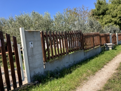 immagine annuncio 1 di 9