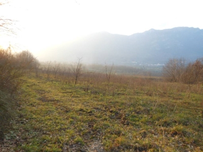 immagine annuncio 1 di 7