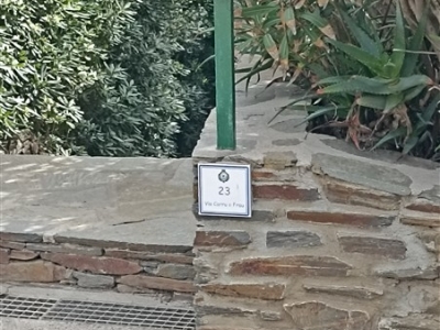 immagine annuncio 5 di 9