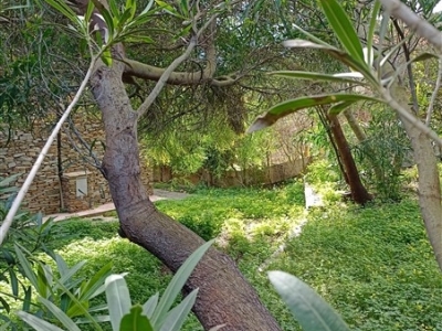 immagine annuncio 6 di 9
