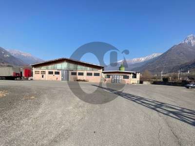 immagine annuncio 1 di 9