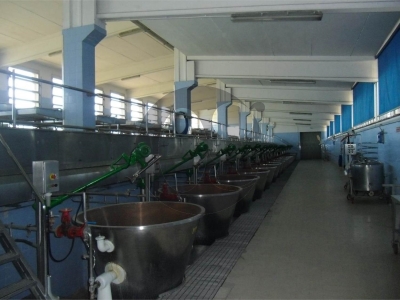 immagine annuncio 3 di 9