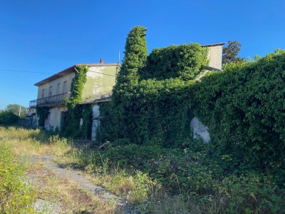 immagine annuncio 2 di 4