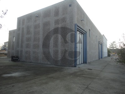 immagine annuncio 5 di 9