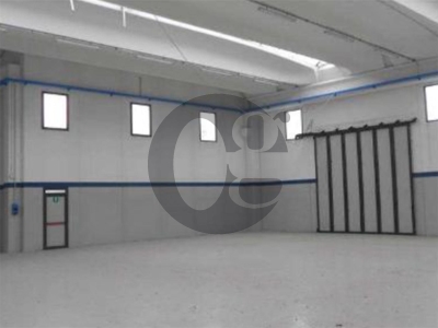 immagine annuncio 4 di 9