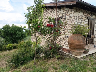 immagine annuncio 3 di 9