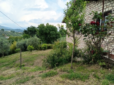 immagine annuncio 6 di 9