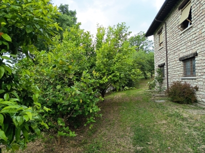 immagine annuncio 8 di 9