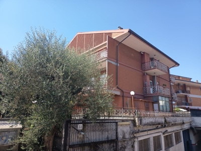 immagine annuncio 6 di 9