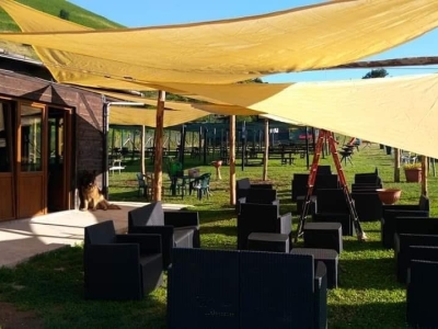 immagine annuncio 2 di 8