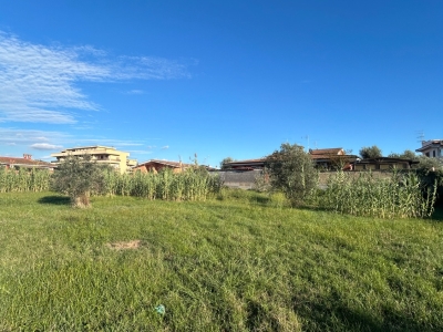 immagine annuncio 3 di 9