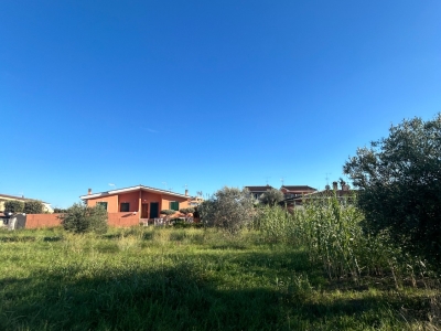 immagine annuncio 5 di 9