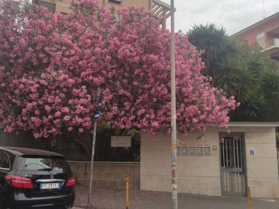 immagine annuncio 1 di 9