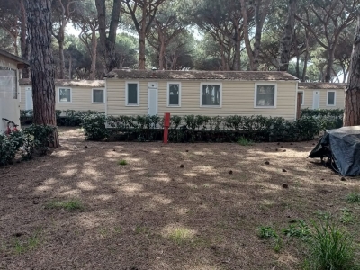 immagine annuncio 1 di 9