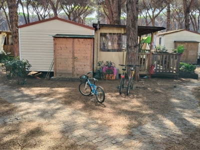immagine annuncio 3 di 9