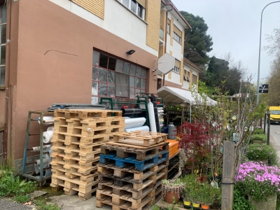 immagine annuncio 4 di 9