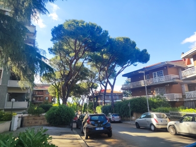 immagine annuncio 2 di 9