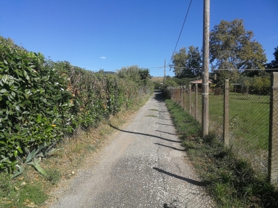 immagine annuncio 4 di 9