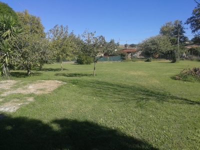 immagine annuncio 5 di 9